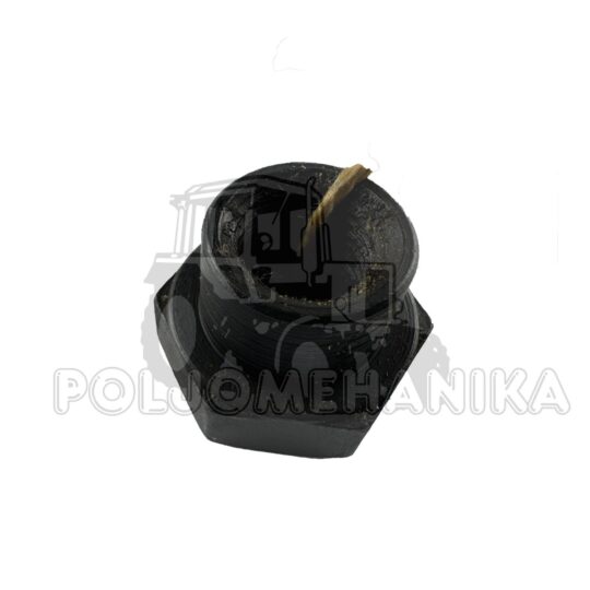 Navrtka bregaste pvp NT