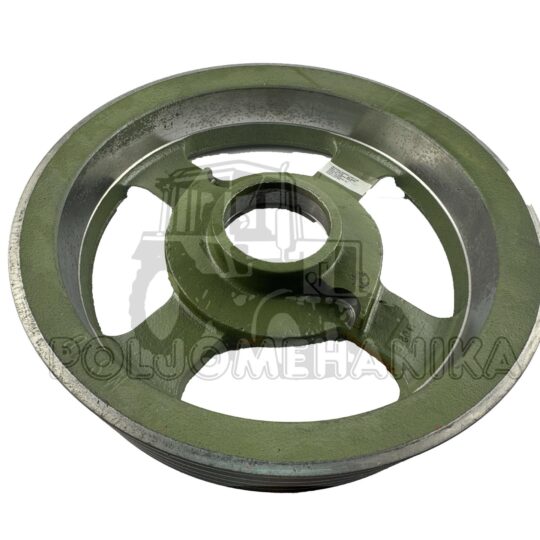 Remenica kosačice veća 1,65